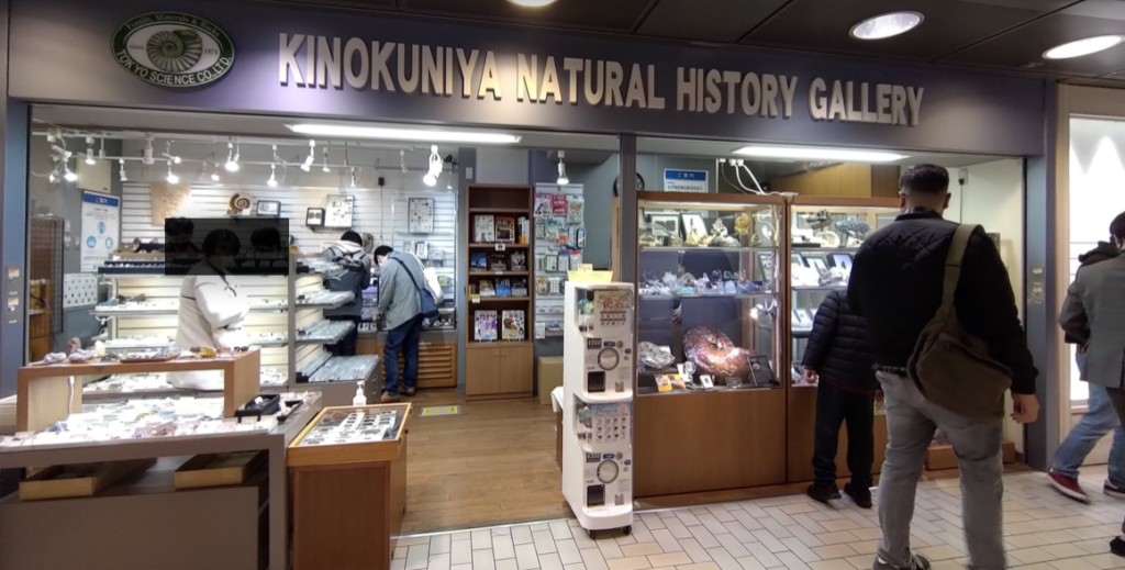 化石・鉱物標本の店