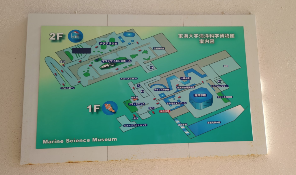 海洋科学博物館地図