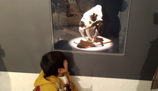 【子連れお出かけ】東海大学自然史博物館 静岡 三保の恐竜博物館